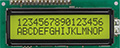 LCD module character
